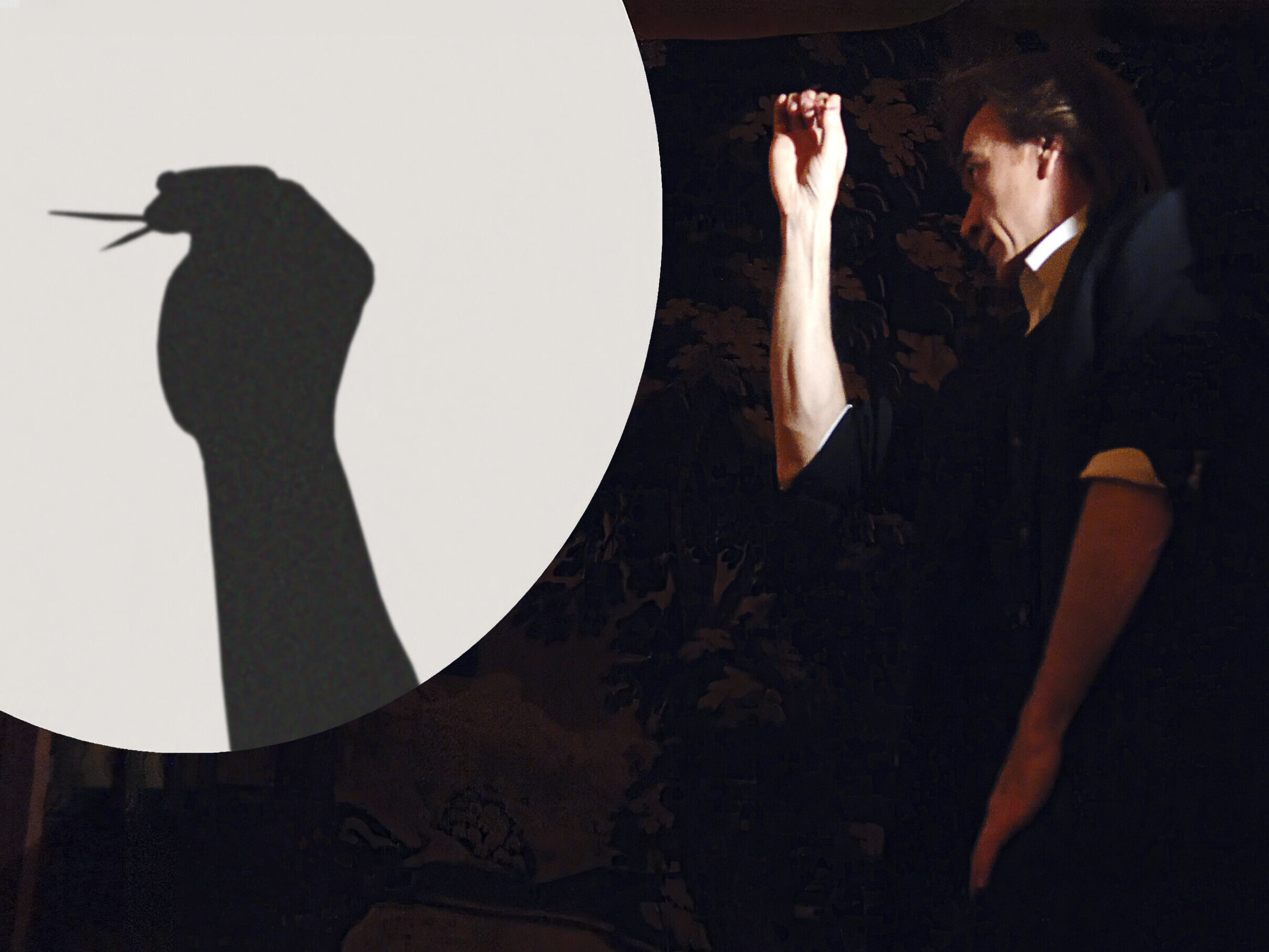 Variet&eacute; im Hansa-Theater - Hans Davis - Foto: Hans Davis