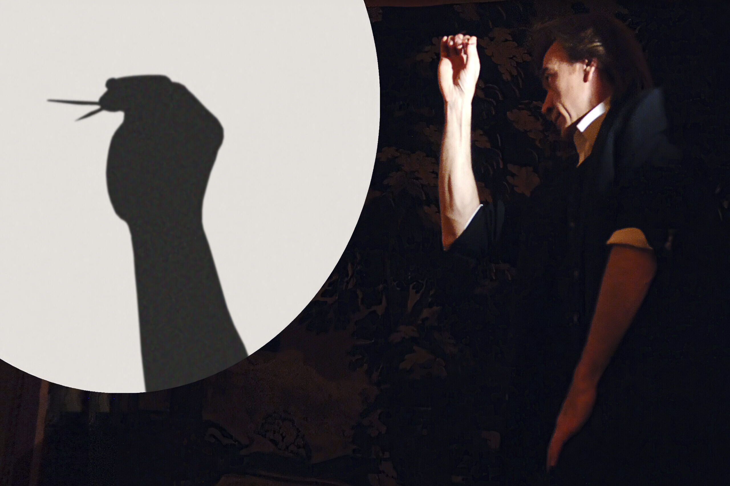 Varieté im Hansa-Theater - Hans Davis - Foto: Hans Davis